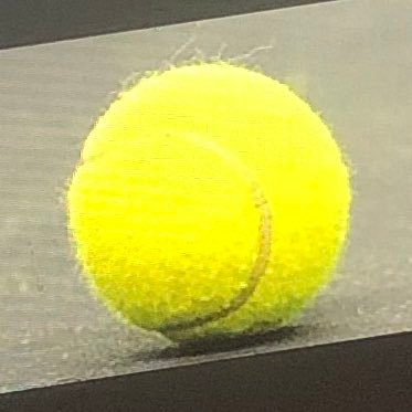 BonetRaphaelle's profile picture. 🎾❤️