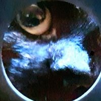Die Anita trauert 🖤 (@dieanita3) 's Twitter Profile Photo Die Anita trauert 🖤 (@dieanita3) 's Twitter Profile Photo
