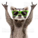 Toni Maier - @ToniMaier69 - Twitter