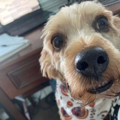 Mangoman57's profile picture. Secular Humanist, Car fanatic, gardener, Retired Net Engr., PMP, lover of the outdoors!