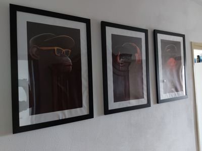 TSpiegelei's profile picture. 