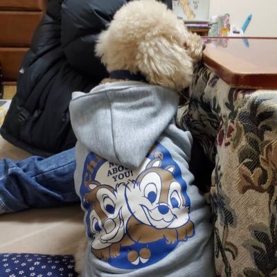 群馬工学院大学応物3年教職/SCP八王子支部長/音楽部/ready/builty/チップとデール/無言フォローすみません 大学一緒の人よろしくお願いしますd('∀'*)
