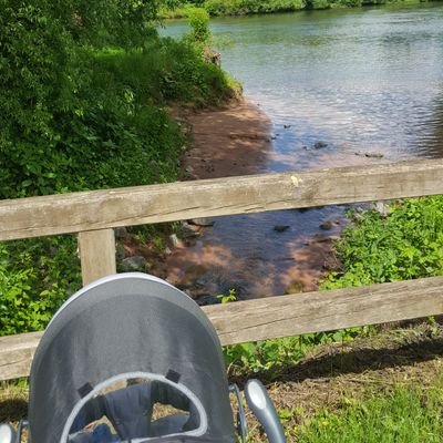 Nina_suess's profile picture. Cocktailtrinkend. Flipsessend. Gärtnernd. Mama der Maus. Bonusmama. she/her

#ninagaertnert