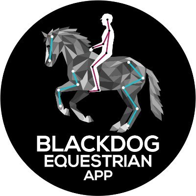BLACKDOG biomechanics uses ground-breaking computer vision tech to give immediate, effective feedback on athletic performance.