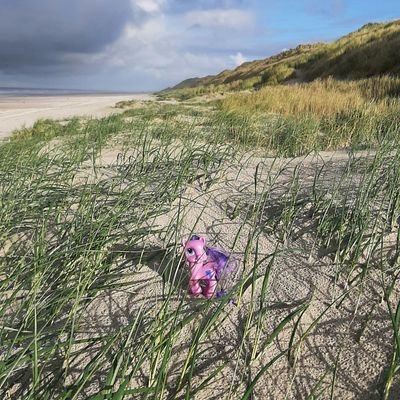 Vlieland, respect voor de natuur, plastic-jutter. ... ik vind soms bijzondere dingen op het strand. ....