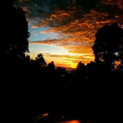 MikeGriffins's profile picture. 