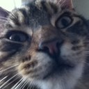 Damian Travers - @travers44 - Twitter