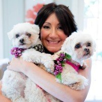 SamJillOlinger's profile picture. Talent Brand Marketer.  Plant and Gardening Enthusiast. Kindness Spreader. Art Doer.  Content Creator. Social Media Strategist. Mom to 3 Pups with Middle Names.