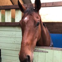 Clive D (@clived19) 's Twitter Profile