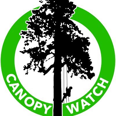 Canopy Watch taps the power of trees to empower human potential. We guide climbers of all abilities to new personal heights of awareness and confidence.