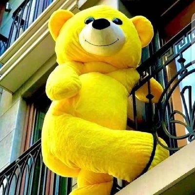 atarhodaa's profile picture. 🌹
keeping it 💯
yktv