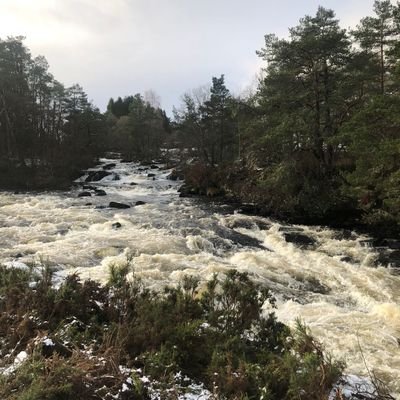 lynseyhq980's profile picture. 