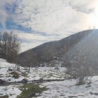 Lütfi Oztop (@lutfioztop) 's Twitter Profile