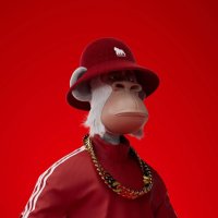 HAPEBOOK (@thehapebook) 's Twitter Profile