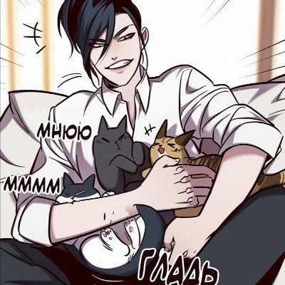 coelhofeifeiさんのプロフィール画像