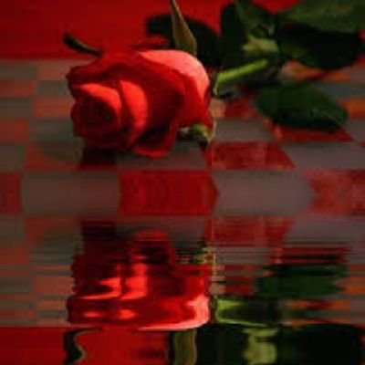 Athobh91118's profile picture. ‏‏‏‏ثلاث ادعيـہ لاتنساها ..
اللـہم اني اسآلگ حسن الخاتمـہ
اللـہم ارزقني توبـہ نصوحـہ قبل الموت
اللـہم يامقلب القلوب ثبت قلبي علىٰ دينگ .. ‏‏

تغريداتي في المفضل