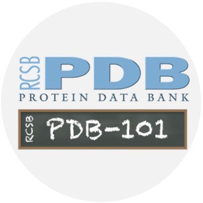 RCSB PDB promotes a structural view of biology. Funded by @NSF, @thenci, @NIAIDNews, @NIGMS, @NIH, & @doescience. Contact info@rcsb.org with service questions.