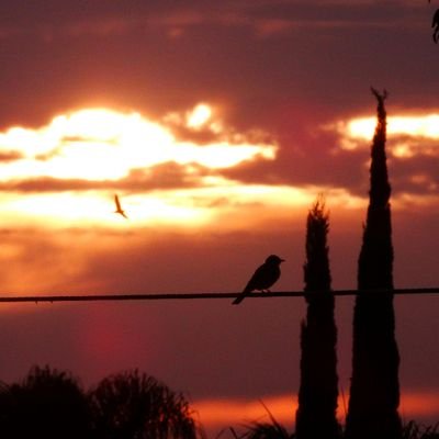 teven81575563's profile picture. 