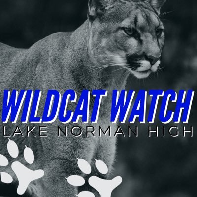 WILDCAT WATCH