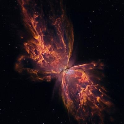 Zambaklar en ıssız yerde açar ve vardır her vahşi çiçekte bir gurur.