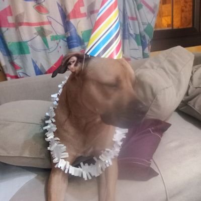 Nieves67425907's profile picture. 