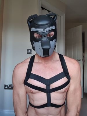 18+ ONLY
Bottom here to be used for your pleasure. Total anon meets.Raw or Safe up to you.