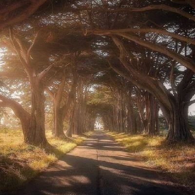 Luisma25126200's profile picture. Viajar