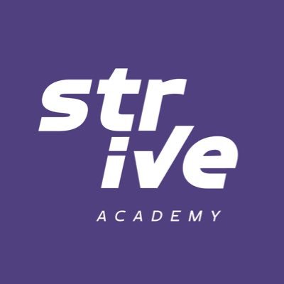 Strive Academy - Vinicius Schwindt Profile