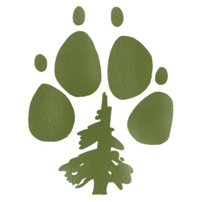 pine-paws 🌲🐾さんのプロフィール画像