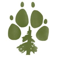 pine-paws 🌲🐾 (@pine_paws) 's Twitter Profile