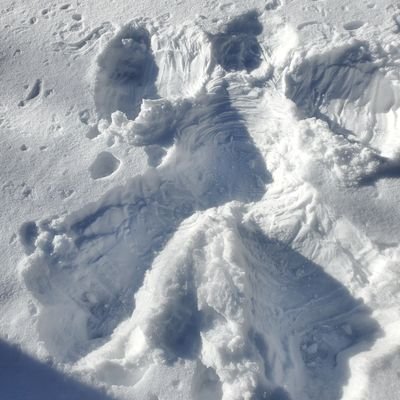 juneyerw's profile picture. Trump won '16, '20, '24. US NOT a democracy. USAF (pre-woke era) combat veteran. Christian. America first MAGA. Anti Vaxx. All of them. Incl. Trumps deadly one