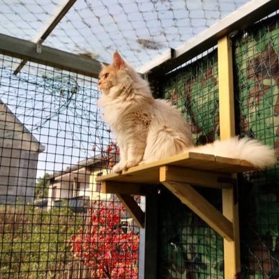 pinkuue0212's profile picture. 我