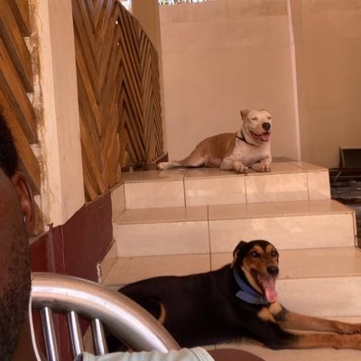 tay0ung's profile picture. 