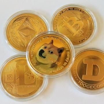 Dog meme coin lovers 🐶 let's experience journey to the moon together 🐾🌘🌗🌖🌕
