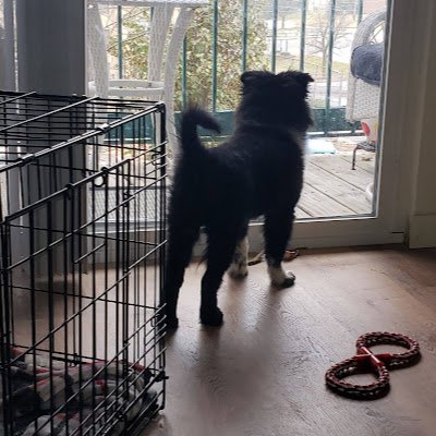 TeresaEddings17's profile picture. 