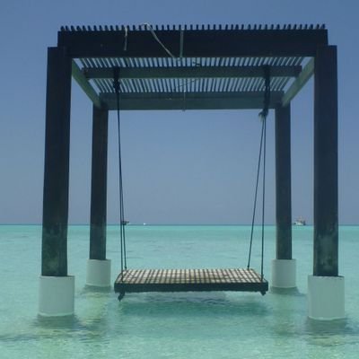 moebius2010's profile picture. 