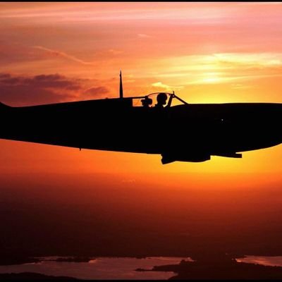 SilveiraAluizio's profile picture. 