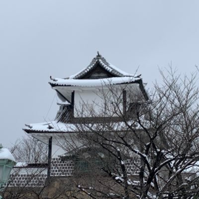 pallasathena201's profile picture. こんちは