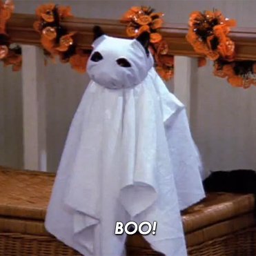 aleckehr's profile picture. Todo pasa.