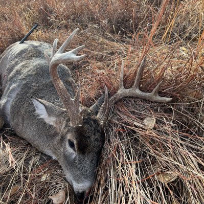 Firemonkey1083's profile picture. KU, KC Royals, KC Chiefs, Hunting the Midwest