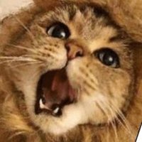 主。 (@p8jqyre4zkextuy) 's Twitter Profile