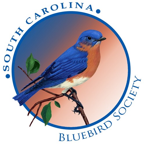 SCBluebirds's profile picture. Dedicated to the recovery and conservation of the Eastern Bluebird and other cavity-nesting birds native to South Carolina and Georgia