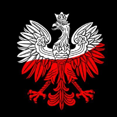 PPP (Patriotyczna Poznańska Pyra) z