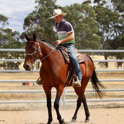 Equine & People Educators. TB Pre-training/training, Re-education, Early Education with Feel-Timing-Balance - Waz & Bron.