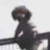 petrlchor (@petrlcort) Twitter profile photo