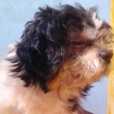 yojkath19's profile picture. 🌅💕