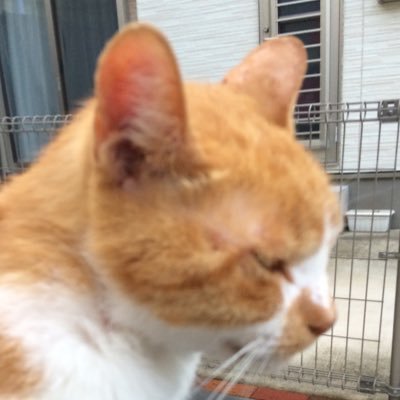 eai0Nz48dW55Xiy's profile picture. 