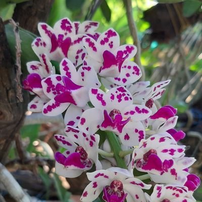 lovepalit815's profile picture. 