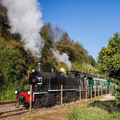 CarlosMachadoCP's profile picture. Resiliência

Apaixonado pela Amarantinidade