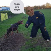 Cpasmoi1 (@cpasmoi1_) 's Twitter Profile